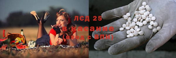 СК Арсеньев
