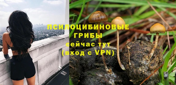 a pvp Аркадак