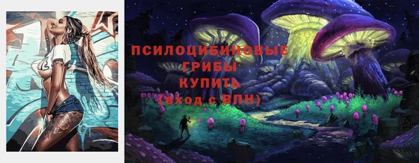 СК Арсеньев
