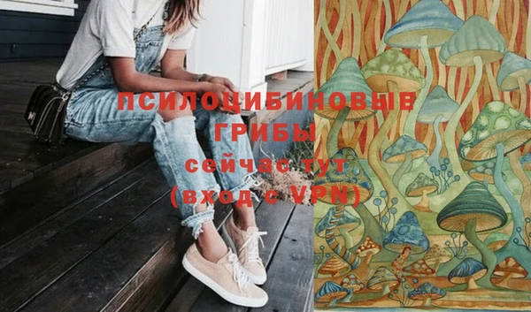 СК Арсеньев
